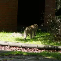 日光国立公園 中禅寺湖畔の写真・動画_image_13815