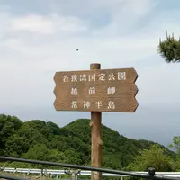 エンゼルラインの写真・動画_image_138198