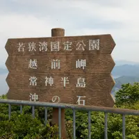 エンゼルラインの写真・動画_image_138199