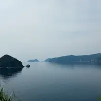 世久見湾の写真・動画_image_138201