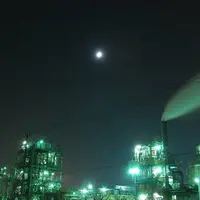 千鳥町の写真・動画_image_13839