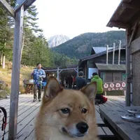 赤岳鉱泉の写真・動画_image_13840