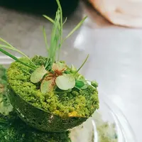 レストランエールの写真・動画_image_138495