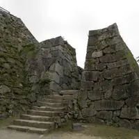 福岡城跡の写真・動画_image_13861