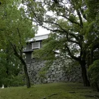 福岡城跡の写真・動画_image_13862