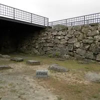 福岡城跡の写真・動画_image_13867
