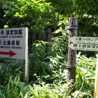 半僧坊の写真・動画_image_13927
