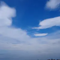 大平山の写真・動画_image_13930