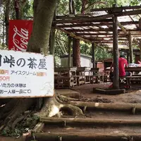 大平山の写真・動画_image_13931