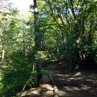 箱根園の写真・動画_image_13960