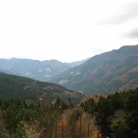 奥祖谷周遊モノレールの写真・動画_image_14004