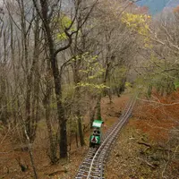 奥祖谷周遊モノレールの写真・動画_image_14005