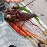 カメハメハ大王の渚の写真・動画_image_14058