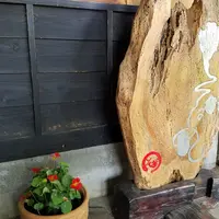 そば丸の写真・動画_image_141244