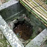 積翠寺の写真・動画_image_141294