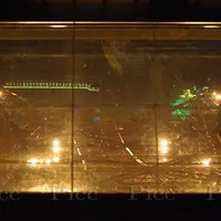 東京タワーの写真・動画_image_1421