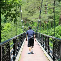 吹割の滝の写真・動画_image_142289