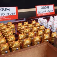 酒列磯前神社の写真・動画_image_14243