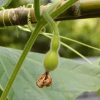 豊国神社の写真・動画_image_142435