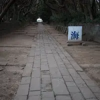 酒列磯前神社の写真・動画_image_14246