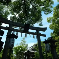 新熊野神社の写真・動画_image_142480