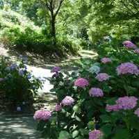 智積院の写真・動画_image_142584