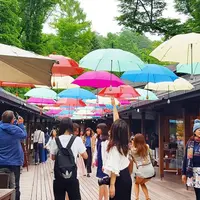 ハルニレテラスの写真・動画_image_142590