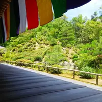 智積院 庭園～利休好みの庭の写真・動画_image_142598