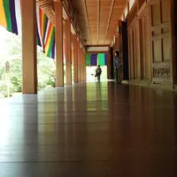 智積院 講堂の写真・動画_image_142603