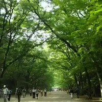 下鴨神社（賀茂御祖神社）の写真・動画_image_143604