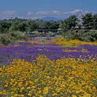 百合が原公園の写真・動画_image_143751