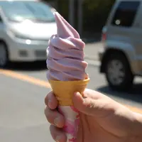 いも吉館 本店の写真・動画_image_14389