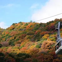 書写山圓教寺の写真・動画_image_1441
