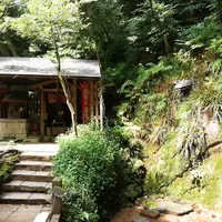 等々力渓谷の写真・動画_image_144373