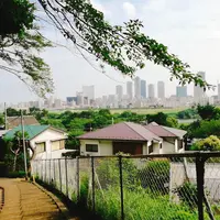 多摩川台公園の写真・動画_image_144376