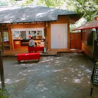 等々力渓谷の写真・動画_image_144381