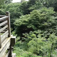 等々力不動尊の写真・動画_image_144382