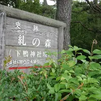 糺ノ森の写真・動画_image_14465