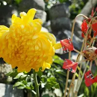 宝戒寺の写真・動画_image_14496