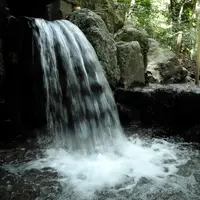 椿岸神社の写真・動画_image_14520