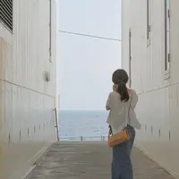 bills 七里ヶ浜の写真・動画_image_145465