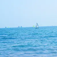 bills 七里ヶ浜の写真・動画_image_145466