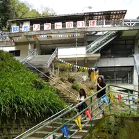 養老の滝の写真・動画_image_14558