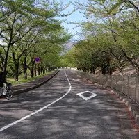 養老公園の写真・動画_image_14567