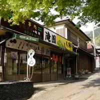 養老の滝の写真・動画_image_14569