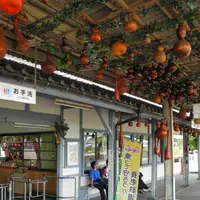 養老駅 の写真・動画_image_14570