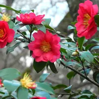 養老の滝の写真・動画_image_14572