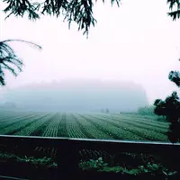 カワヨグリーンユースホステルの写真・動画_image_14671