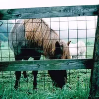 カワヨグリーンユースホステルの写真・動画_image_14672