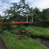 熊野大社の写真・動画_image_146868